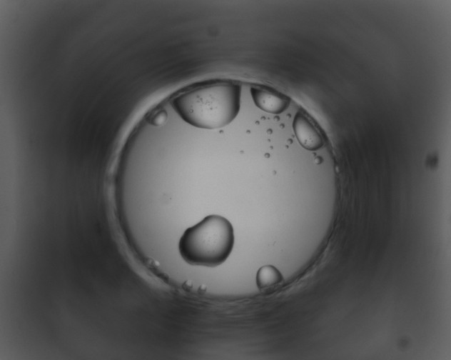 X0000101971128200807180720