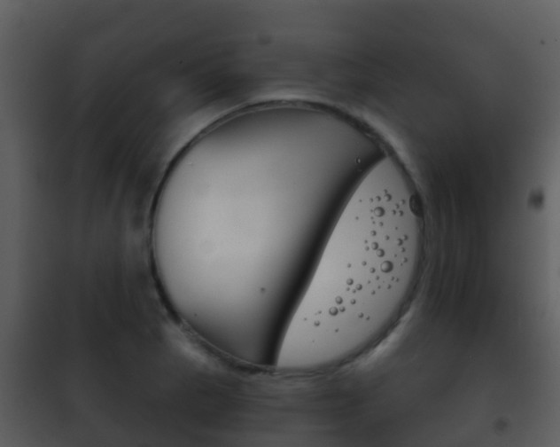 X0000101971129200807180720