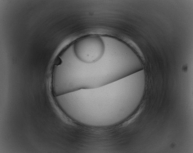 X0000101971130200807180720