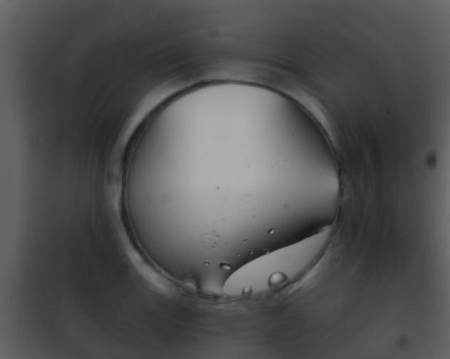 X0000101971131200807180720