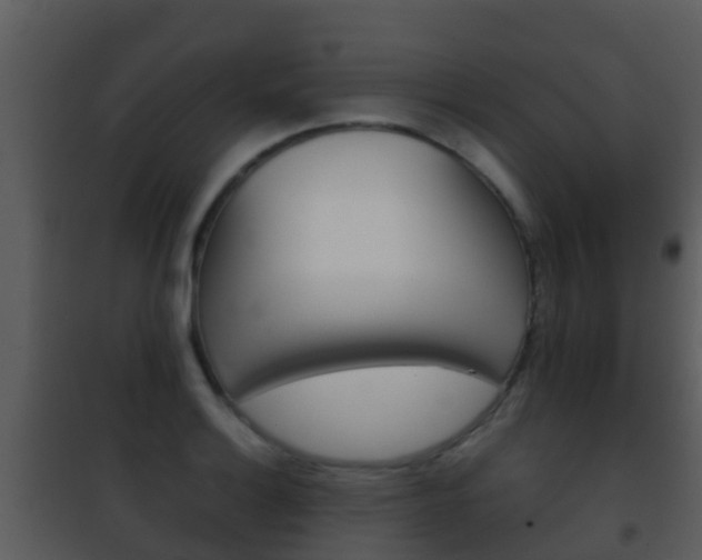 X0000101971132200807180720