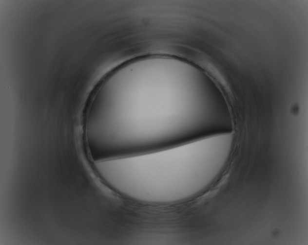 X0000101971133200807180720