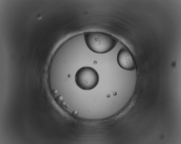 X0000101971134200807180720