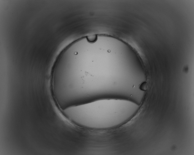 X0000101971135200807180720
