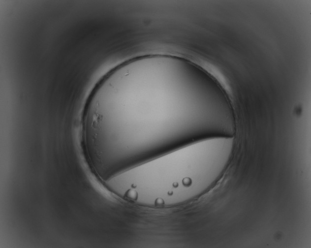 X0000101971136200807180720