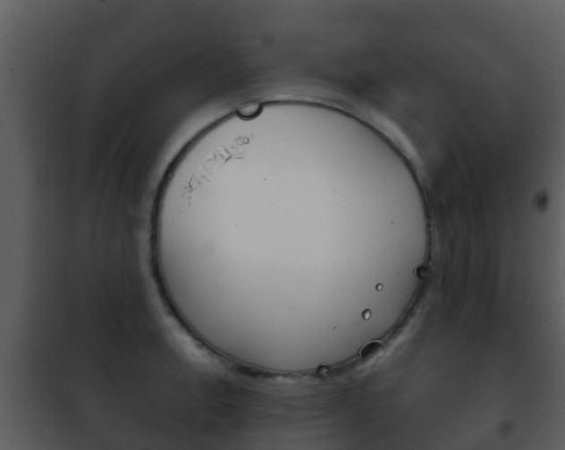 X0000101971138200807180720