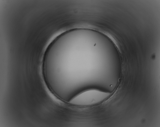 X0000101971139200807180720
