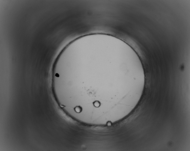 X0000101971140200807180720