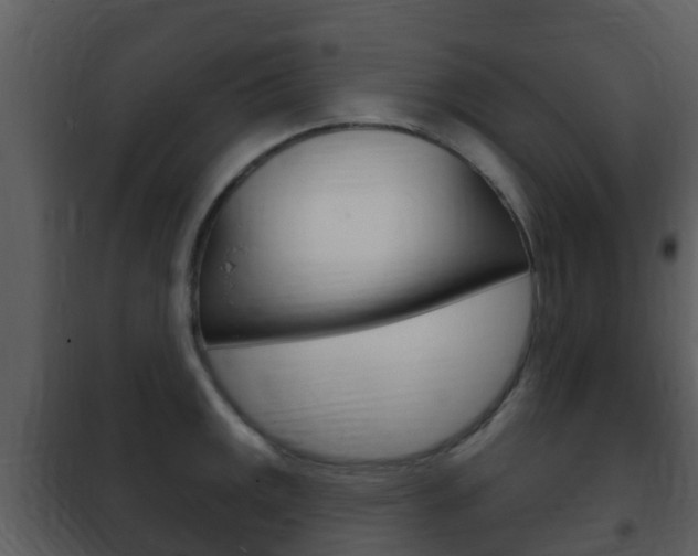 X0000101971141200807180720