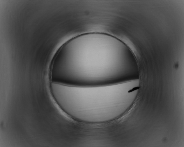 X0000101971142200807180720