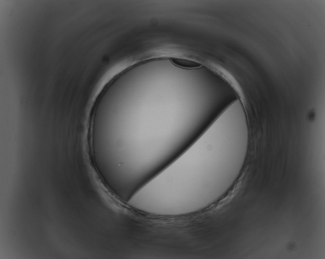 X0000101971146200807180720