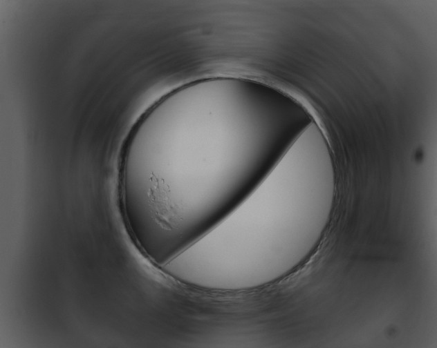 X0000101971147200807180720