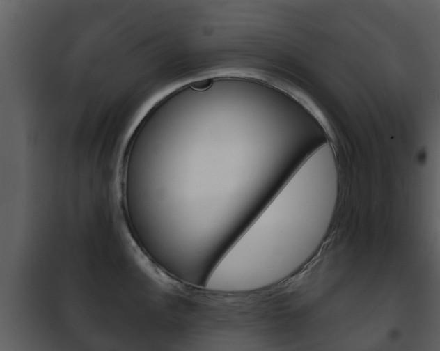 X0000101971148200807180720