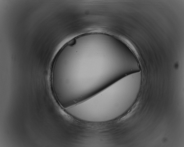 X0000101971149200807180720