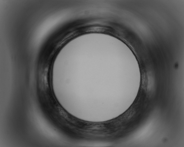 X0000101971150200807180720