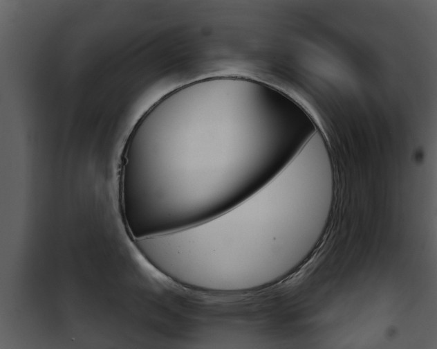 X0000101971151200807180720