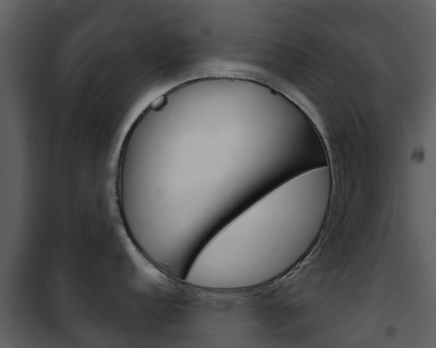 X0000101971152200807180720