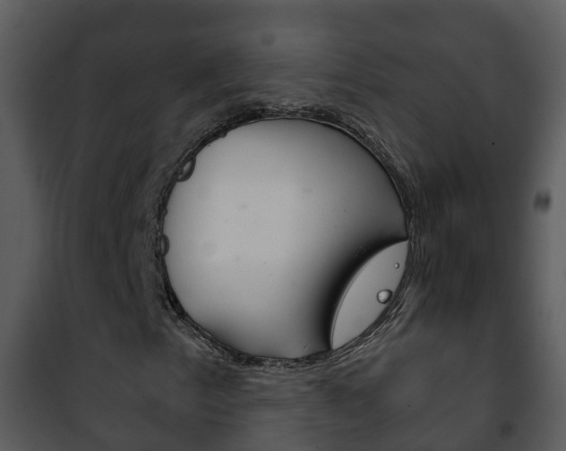 X0000101971153200807180720