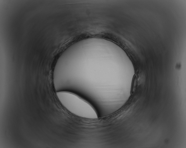 X0000101971156200807180720