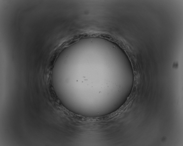 X0000101971157200807180720
