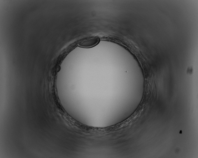 X0000101971158200807180720