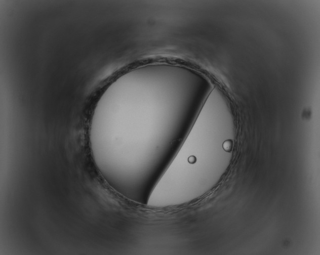 X0000101971159200807180720
