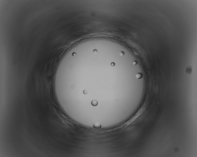 X0000101971161200807180719