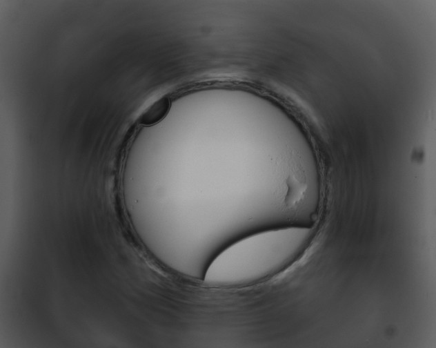 X0000101971162200807180719