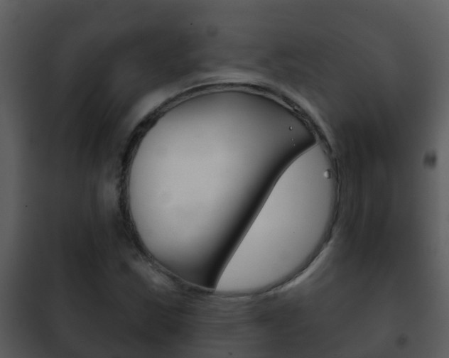 X0000101971163200807180719