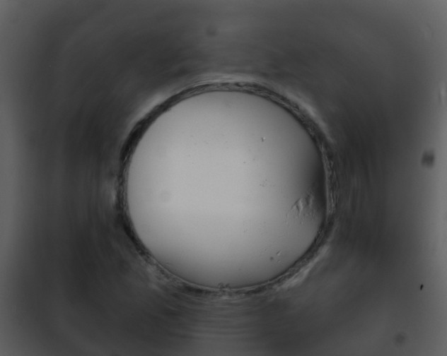 X0000101971165200807180719