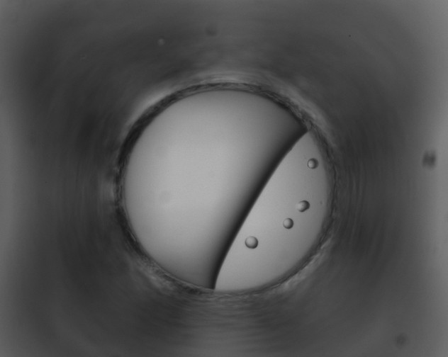 X0000101971166200807180719