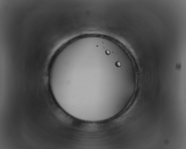 X0000101971167200807180719