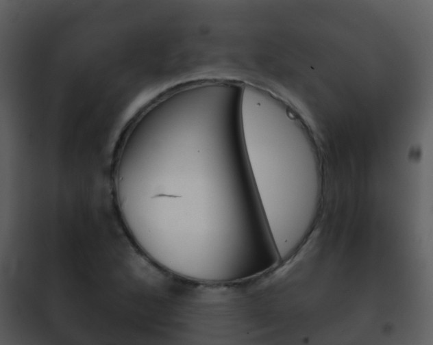 X0000101971168200807180719
