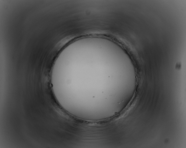 X0000101971169200807180719