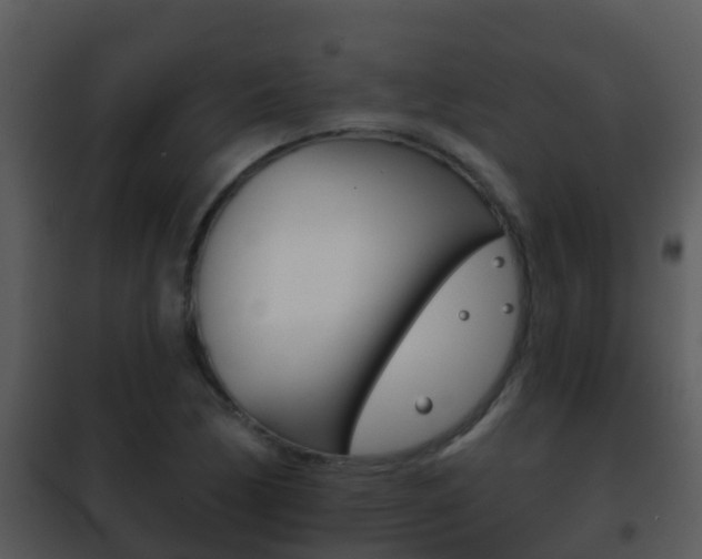 X0000101971170200807180719