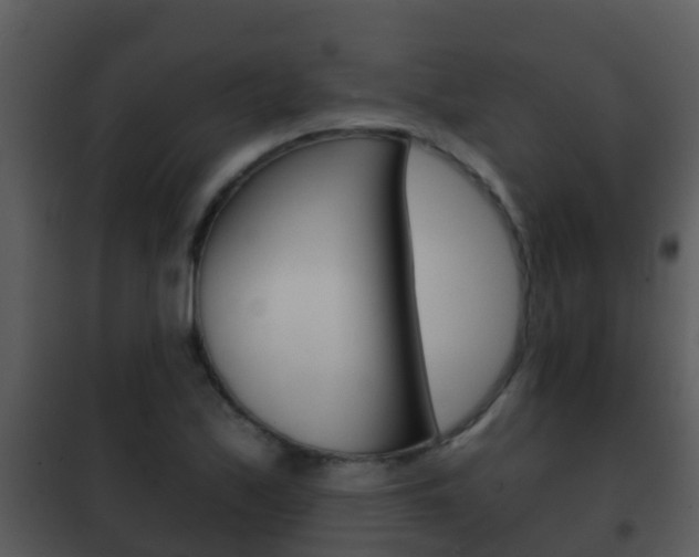 X0000101971171200807180719