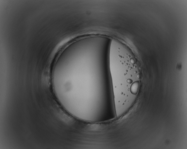 X0000101971172200807180719