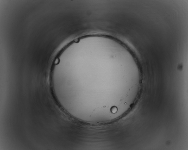X0000101971173200807180719