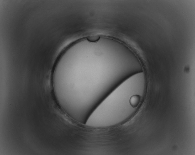 X0000101971174200807180719