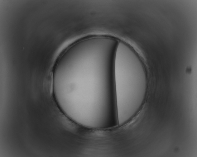 X0000101971175200807180719