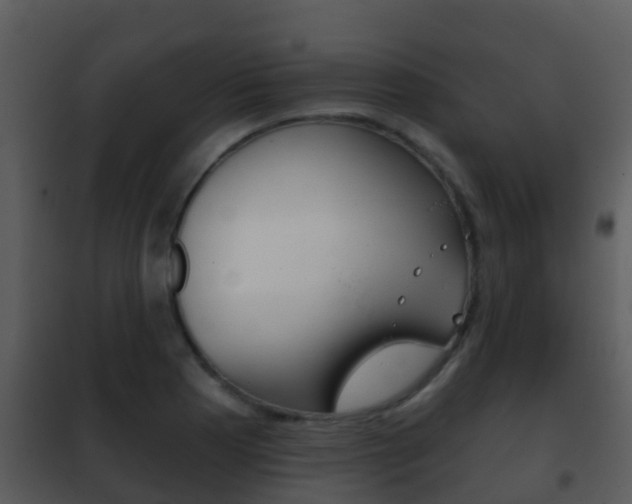 X0000101971177200807180719