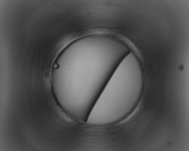 X0000101971178200807180719