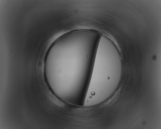 X0000101971179200807180719