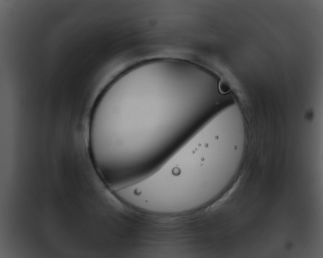 X0000101971180200807180719