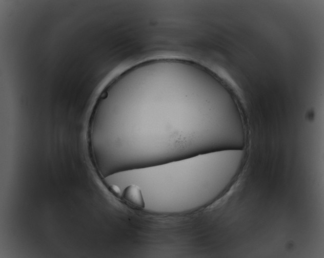 X0000101971181200807180719