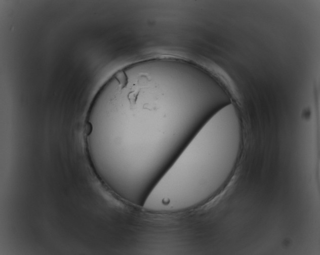 X0000101971182200807180719