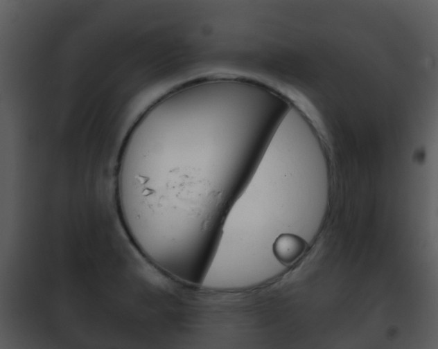 X0000101971183200807180719