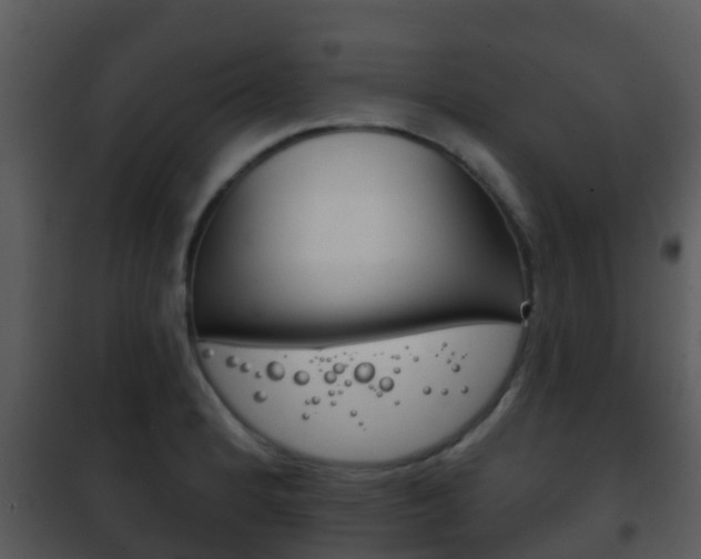 X0000101971184200807180719