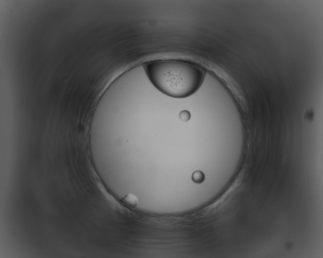 X0000101971185200807180719