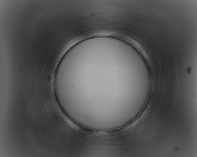X0000101971186200807180719